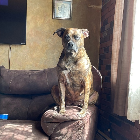 Meet your Posher, Wendi - Picture 1 of 1